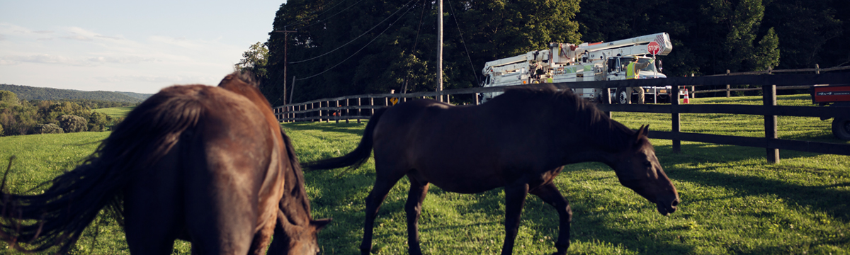 Central Hudson crews at work in a rural Hudson Valley location