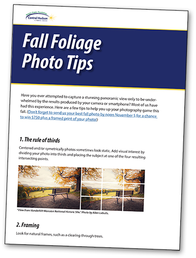 Cover image of photo tips pdf
