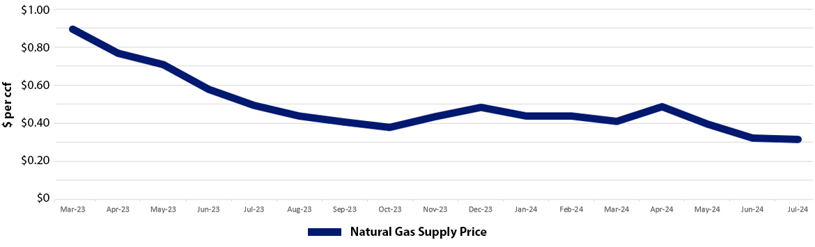 standard residential gas rates-LARGE copy.jpg