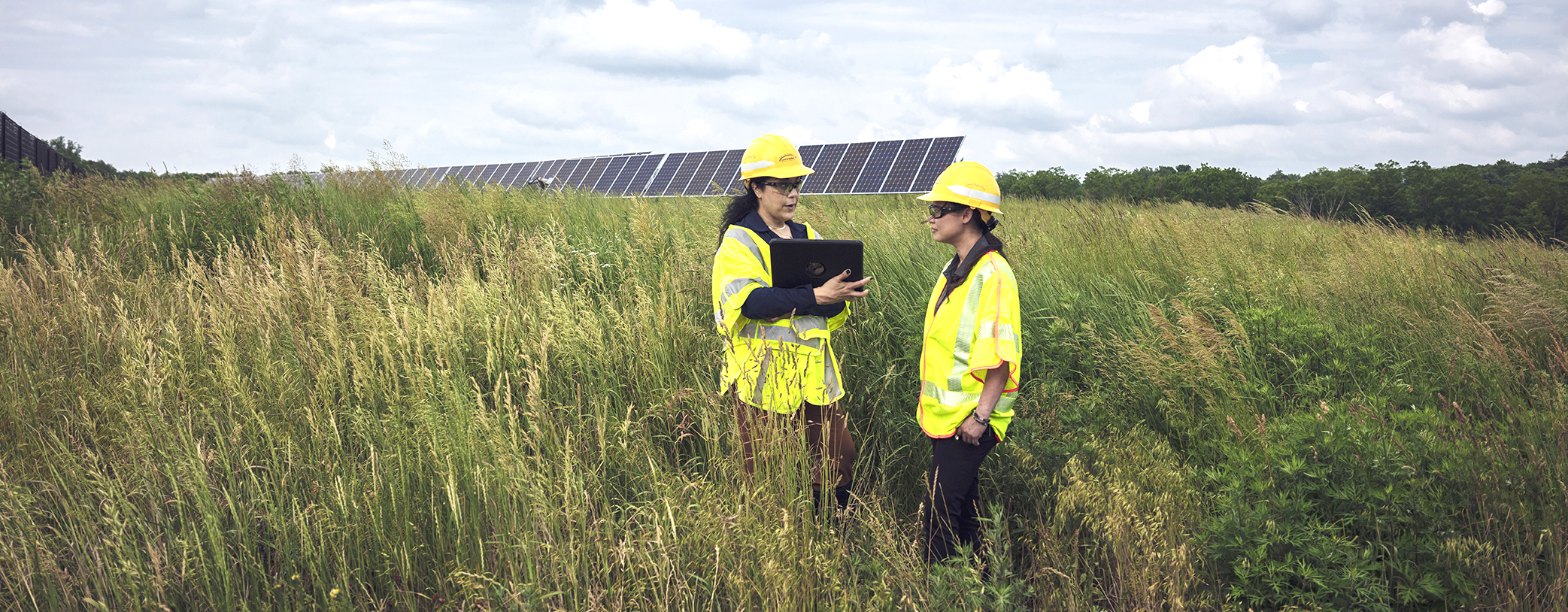 two emps in solar field.jpg