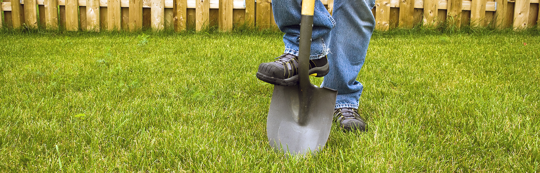 digging photo.jpg