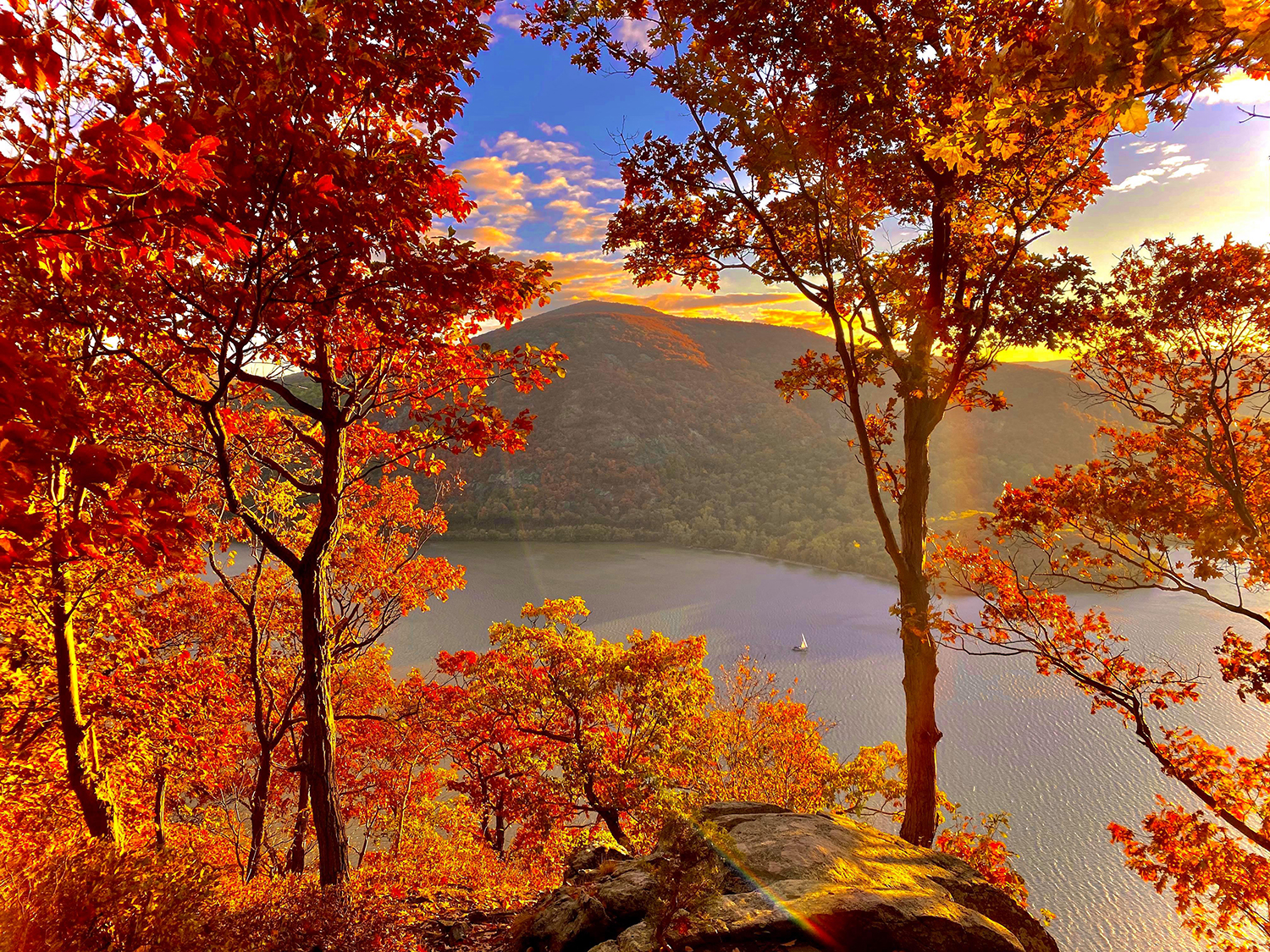 fall foliage 2019 winner.jpg