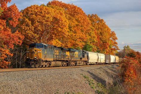 The winner of Central Hudson’s eight annual Fall Foliage Photo Contest and $500 prize is Damien Calvo of Coxsackie, Greene County, who submitted his photograph taken near Coeymans, Albany County. 