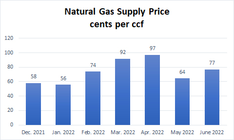 June 2022 gas prices.jpg