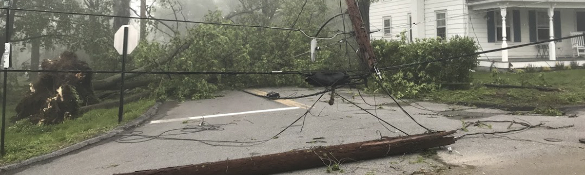 Fallen electrical wires caused by storm and tree damage